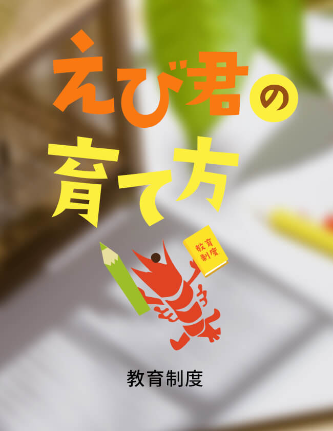 えび君の育て方　教育制度